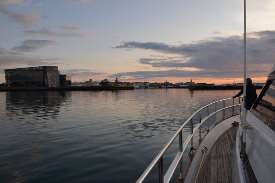 Reykjavik: Northern Lights Motor Yacht Cruise - Your boat choice: MY Harpa (35) vs MY Amelia Rose (95)