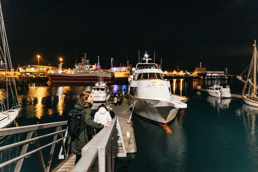 Reykjavik: Northern Lights Yacht Tour - Price and Value: Is $93 Worth It?