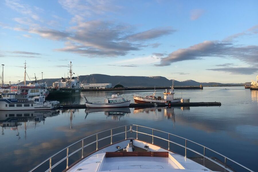 Reykjavik: Whale Watching and Dolphin Watching Yacht Cruise - From Old Harbor check-in to the right yacht