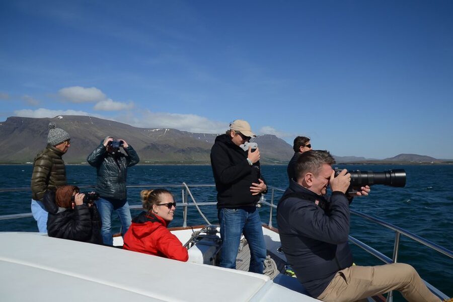 Reykjavik: Whale Watching and Dolphin Watching Yacht Cruise - Price and value: what $106 buys you (and why it’s not just a ticket)