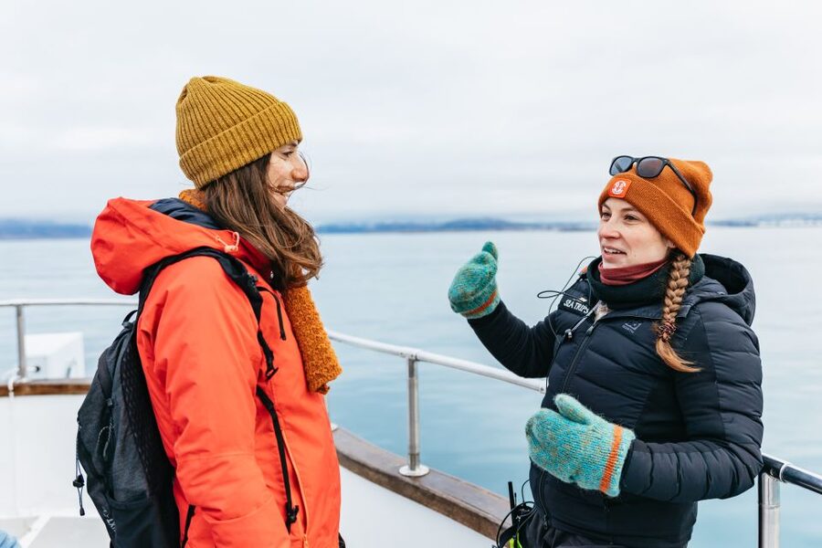 Reykjavík: Whale Watching Cruise on the Amelia Rose Yacht - Key things that make this cruise worth your time