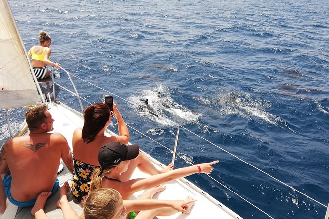 Sailing yacht half day- with Cape Verde Sailing - The Southwest Coast Route: What the Boat Is Chasing