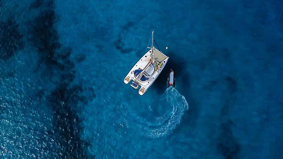 Sal, Cape Verde: Half day on Cuba Libre sailing yacht - Wildlife spotting chances in Cape Verde waters