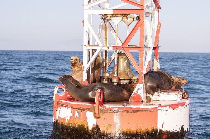 Santa Barbara Narrated Coastal Yacht Experience - Timing and Weather: why you should plan for a calm day on the water