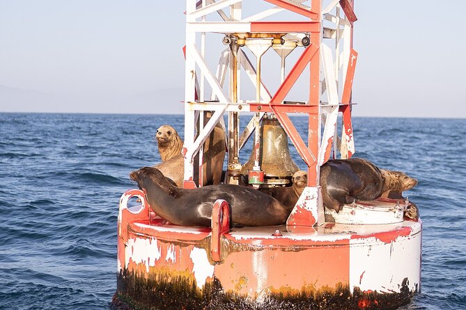 Santa Barbara Narrated Coastal Yacht Experience - Who should book this yacht cruise (and who should maybe skip it)
