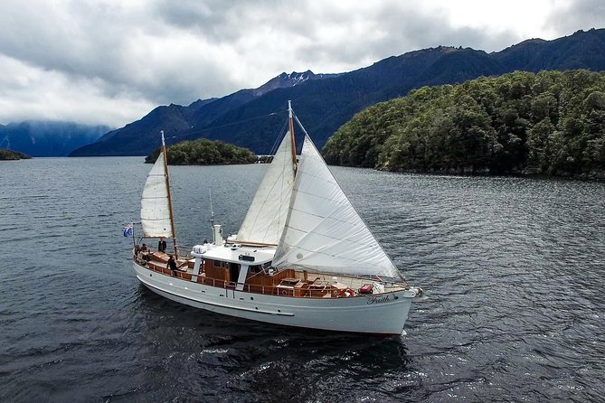 Scenic Cruise & Guided walk on Historic Motor Yacht Lake Te Anau - Tea time on the water: relaxation with the engine turned off