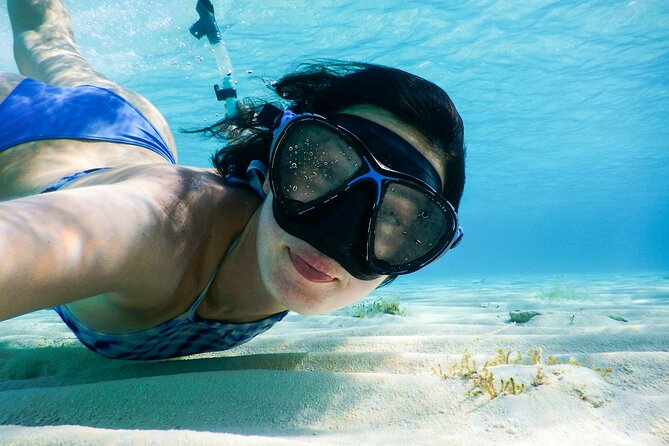 Small group tour by premium yacht to Elaphite Islands - Key Highlights You’ll Feel on Day One