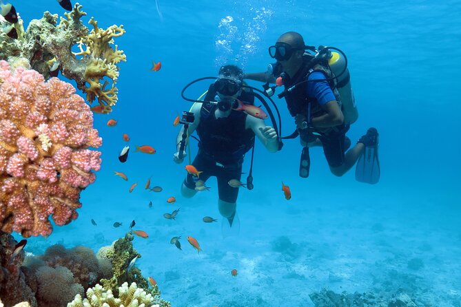 Snorkeling Day White Island & Ras Mohamed With Top VIP yacht - The big idea: why Ras Mohamed and White Island pair so well