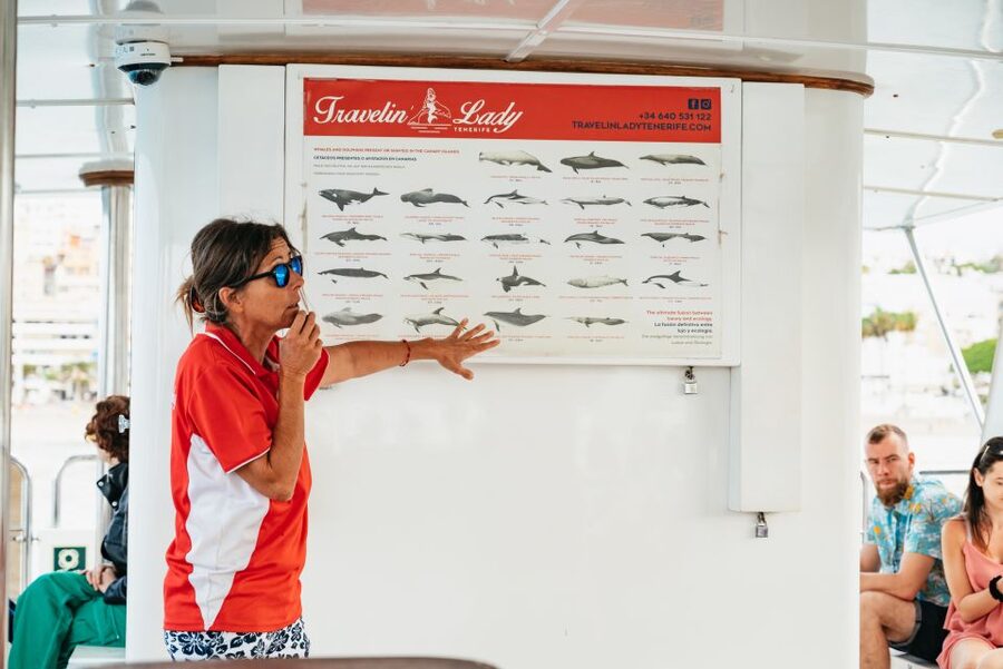 Tenerife: Eco-Yacht Whale and Dolphin Watching and Swimming - A purpose-built eco-yacht that’s actually designed for whales