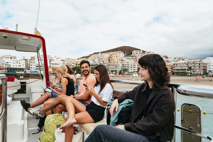 Tenerife: Eco-Yacht Whale and Dolphin Watching and Swimming - The coastline search: what you may spot (and how the crew protects it)