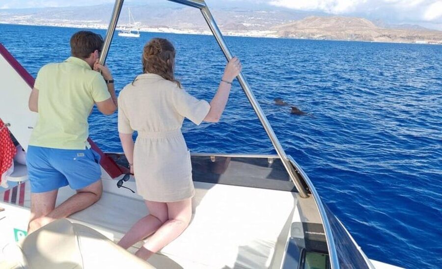 Tenerife: Eco-Yacht Whale and Dolphin Watching and Swimming - Los Cristianos, Palm-Mar, and the photo stops that set the scene