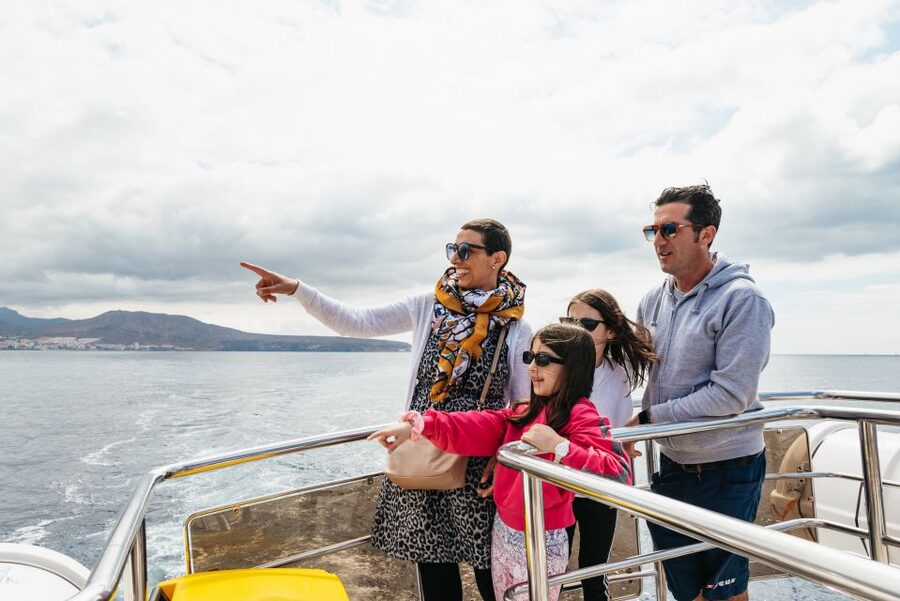 Tenerife: Eco-Yacht Whale and Dolphin Watching and Swimming - Cave of Love: why that stop feels like more than scenery