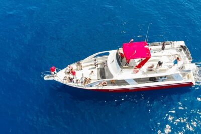 Tenerife Los Cristianos: Whale and Dolphin Eco-Yacht and Swim Stop - Whales, Dolphins, Turtles, and That Other Surprise: What You Can Expect to See