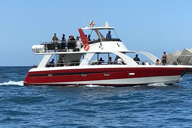 Tenerife Los Cristianos: Whale and Dolphin Eco-Yacht and Swim Stop - Boat Comfort Details That Matter More Than You Think