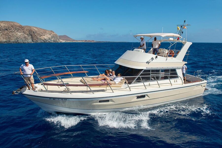 Tenerife: Whale tour and sea swim on a yacht for 22 people - Key highlights that matter on the water