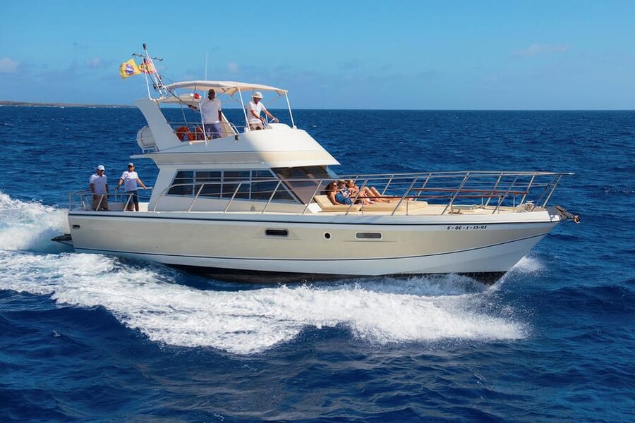 Tenerife: Whale tour and sea swim on a yacht for 22 people - The Neptuno yacht experience: where you’ll actually sit and watch