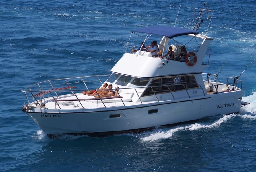 Tenerife: Whale tour and sea swim on a yacht for 22 people - Sailing the cliffs and the Cueva del Amor stories