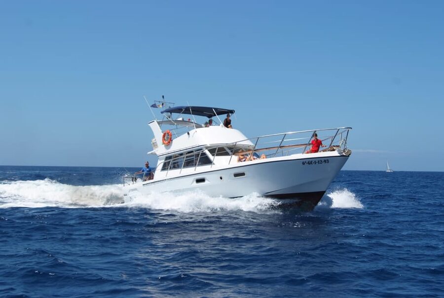 Tenerife: Whale tour and sea swim on a yacht for 22 people - The sea swim near the cliffs: when you can get in