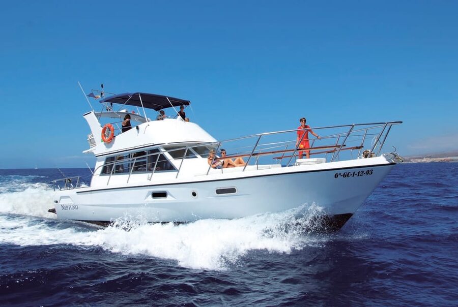 Tenerife: Whale tour and sea swim on a yacht for 22 people - What to bring (and how to get the best out of it)