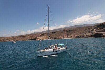 Tenerife Whale Watching and Snorkeling Yacht Trip - The 3-hour plan: what happens on the water