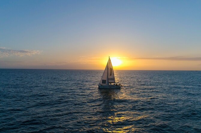 Tenerife Whale Watching and Snorkeling Yacht Trip - Price and Value: What $62.68 Feels Like in Real Life