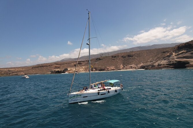 Tenerife Whale Watching and Snorkeling Yacht Trip - The 3-hour plan: what happens on the water