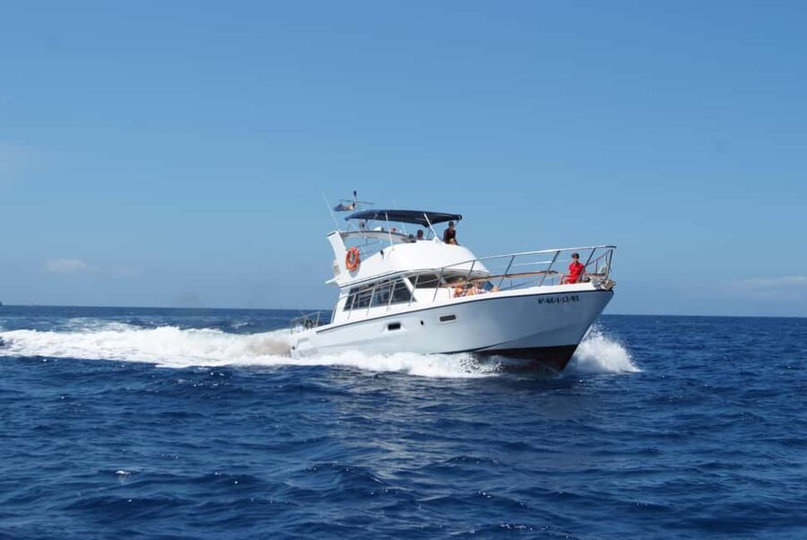 Tenerife: Whale watching tour with swim and lunch on yacht for 22 passengers - Price and Value: What You’re Really Paying For