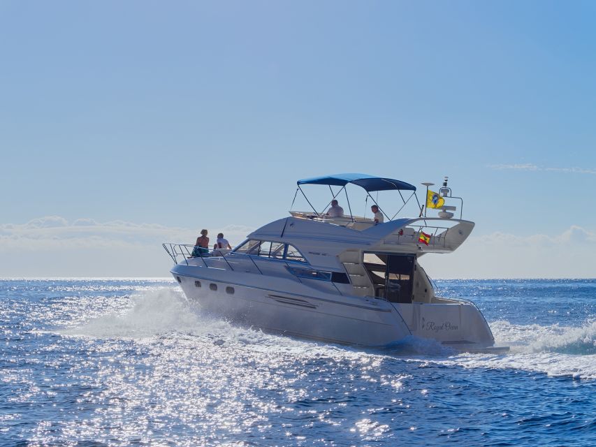 Tenerife: Whales and Snorkeling Tour on a Luxury Yacht - Palm-Mar cruise: taking in the south coast the easy way
