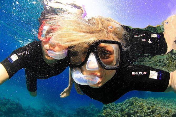 Tiran Island Snorkeling Experience by Yacht Sharm El Sheikh - Why this Tiran Island yacht day makes sense from Sharm