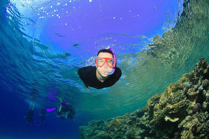 Tiran Island Snorkeling Experience by Yacht Sharm El Sheikh - Should you book this Tiran Island yacht snorkeling day?