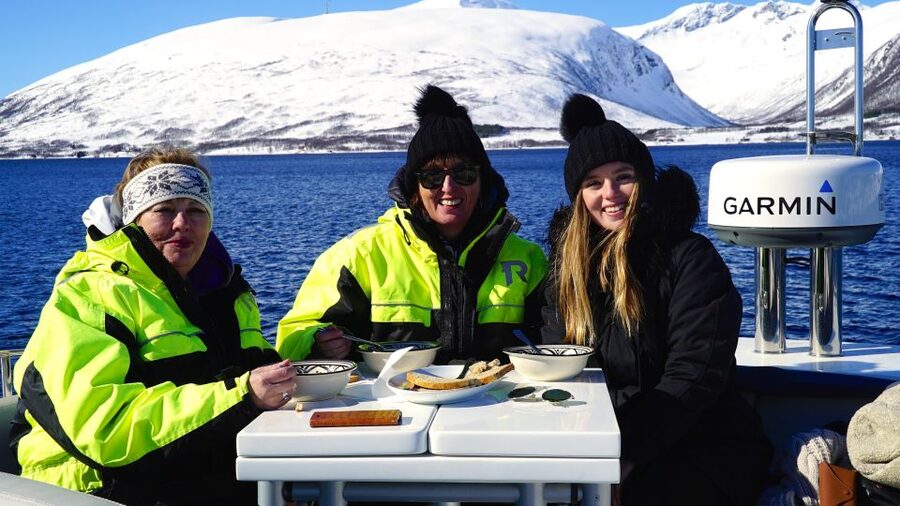 Tromsø: Fjord Cruise by Luxury Yacht - Tromsø Fjord Cruise Comfort Meets Real Arctic Water