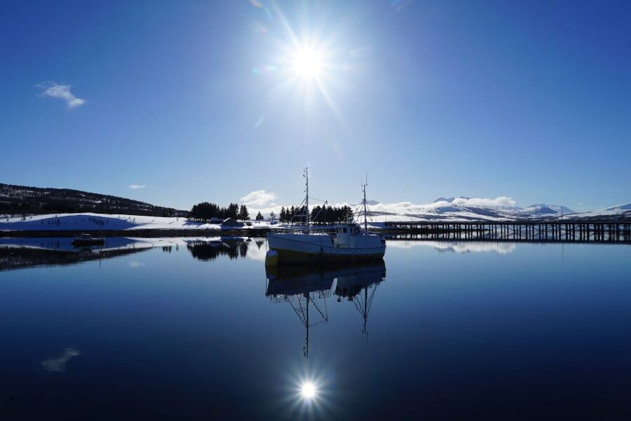 Tromsø: Fjord Cruise by Luxury Yacht - The Food Factor: Norwegian Fish Soup That Works in the Cold
