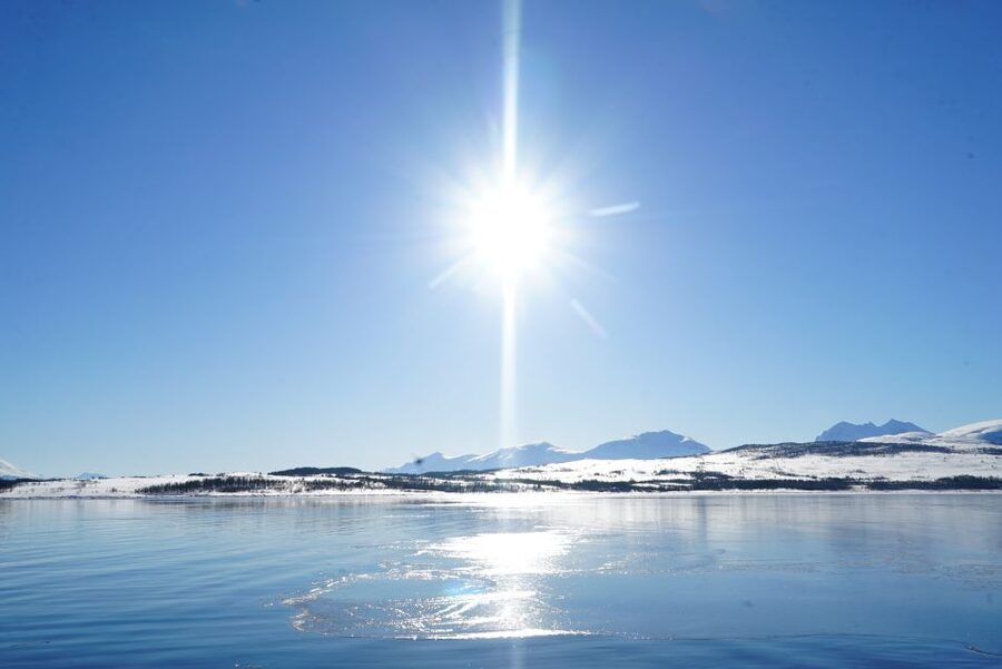 Tromsø: Fjord Cruise by Luxury Yacht - Getting Value for $236: What You’re Paying For