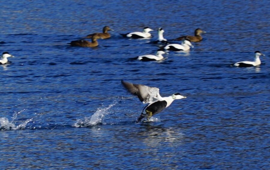 Tromsø: Fjord Cruise by Luxury Yacht - Weather and Polar Light: What Can Change Your View
