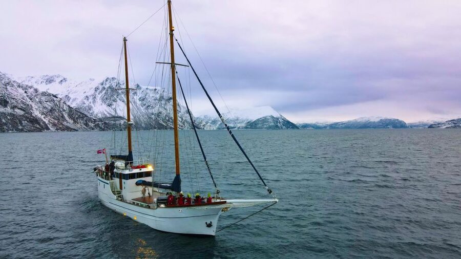 Tromsø: Luxury Polar Fjord Cruise w/ Hot Tub & Polar Plunge - Hidden on purpose: how the ship’s timing supports wildlife spotting