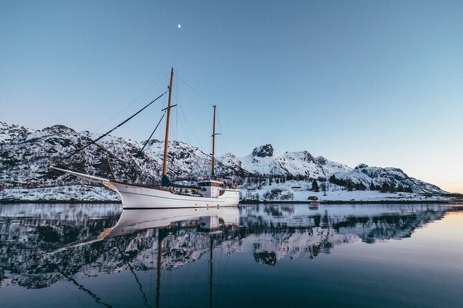 Tromso Luxury Sailing Yacht Polar Fjord Cruise with Lunch - Wildlife Chances on the Water: Seals and Other Surprises