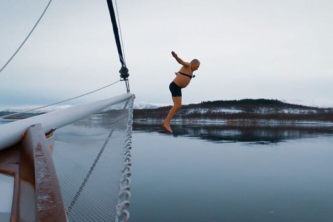 Tromso Luxury Sailing Yacht Polar Fjord Cruise with Lunch - Price and Value: Is $348.51 Worth It?