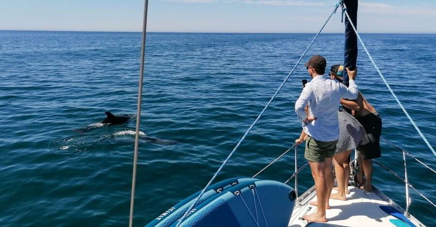 Vilamoura: Coastal Cruise on a Luxury Sailing Yacht - Meeting Pontoon Q: finding the boat without stress