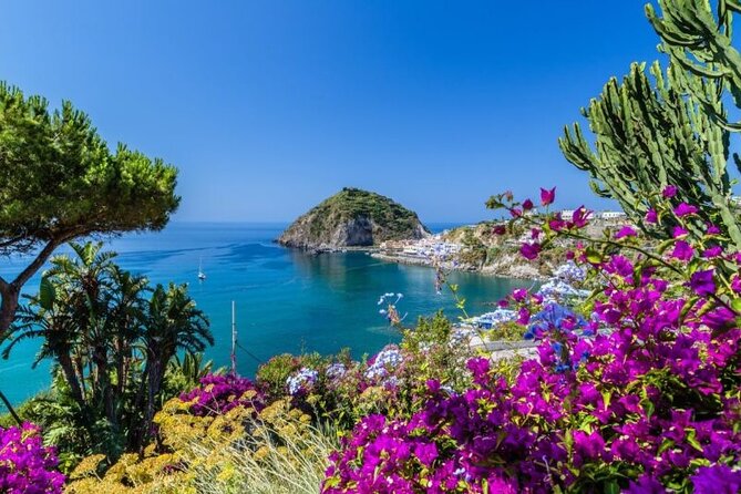 VIP Yacht Escape from Rome to Naples Island Gems Ischia & Procida - Rome to Naples: business-class comfort and a straight line to the water