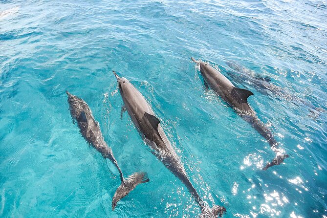 Waikiki's Premier Small Group Sunset Yacht + Tasting - Price and Value: Why $245+ Can Make Sense Here