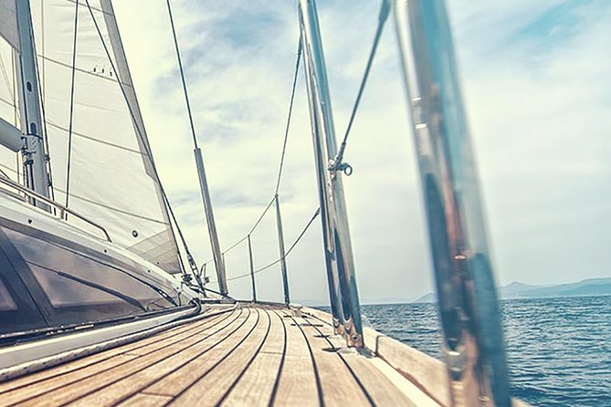 Whale and Dolphin Watching Yacht Trip in Puerto Colon - 19:00 sunset departure (late summer): a shorter choice with a tradeoff