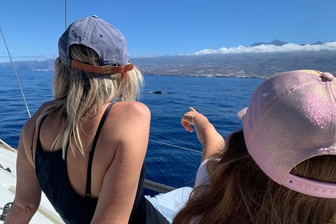 Whale and Dolphin Watching Yacht Trip in Puerto Colon - Price and value: why $62.56 can make sense here