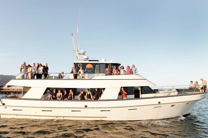 Whale and Wildlife Yacht Cruise in Santa Barbara - The 2-hour yacht experience: a practical length for real life
