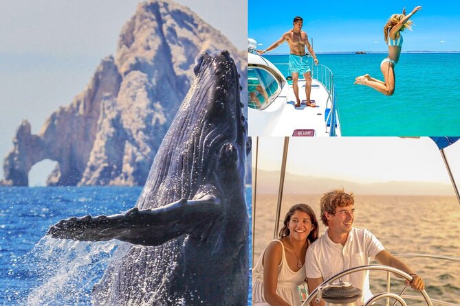 Whale Watching & Arch Catamaran Cruise in Cabo San Lucas - Where the EcoCat Cruise Starts in Cabo Marina