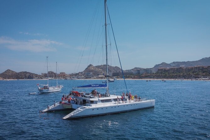 Whale Watching & Arch Catamaran Cruise in Cabo San Lucas - The Boat Setup: Open Decks, Shade, and Restrooms