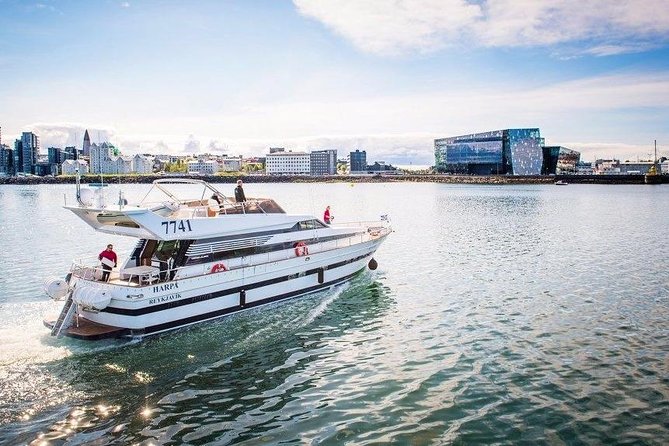Whale Watching & Dolphin Yacht Cruise - Key points to know before you go