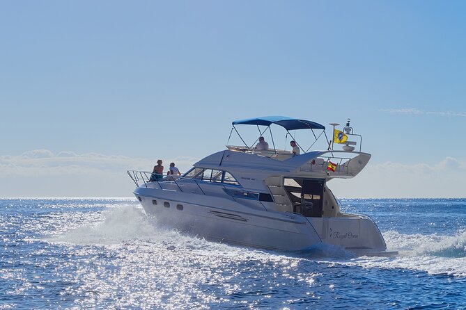 Whales and Dolphins excursion on a Luxury Yacht in Canary Islands - Key Highlights I’d Prioritize