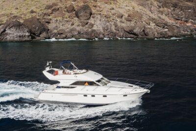 Whales and Dolphins excursion on a Luxury Yacht in Canary Islands - Los Cristianos Cliffs: The Best Part for a Swim and Snorkel
