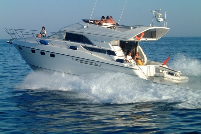 Whales and Dolphins excursion on a Luxury Yacht in Canary Islands - Weather, Sea Conditions, and Sighting Odds (The Honest Stuff)
