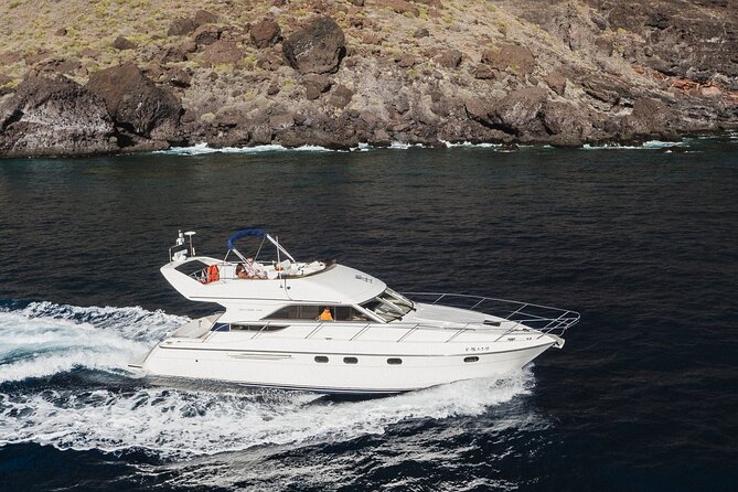 Whales and Dolphins excursion on a Luxury Yacht in Canary Islands - Los Cristianos Cliffs: The Best Part for a Swim and Snorkel